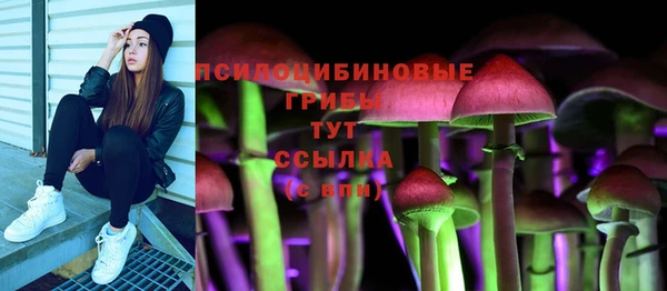 крисы Алексин