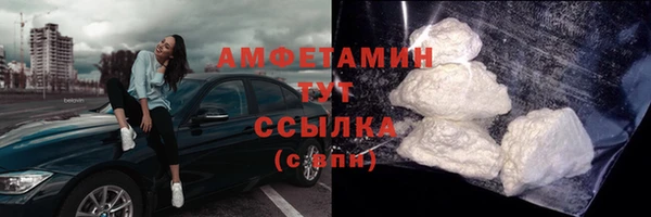 прущие грибы Приозерск