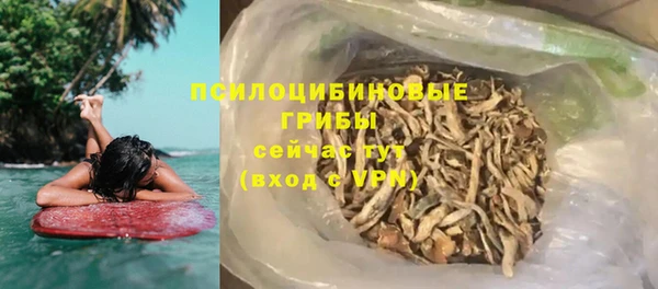 крисы Алексин